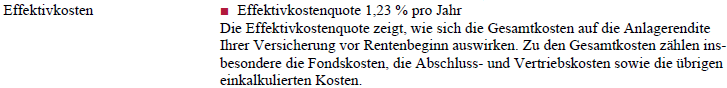 Effektivkosten Bruttopolice